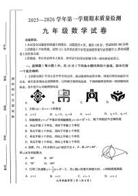 河南洛阳市伊滨区2025-2026学年第一学期期末质量检测九年级数学试卷