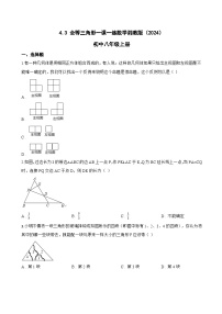 初中数学湘教版（2024）八年级上册（2024）4.3 全等三角形课时训练