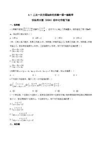 华东师大版（2024）七年级下册（2024）二元一次方程组和它的解课后复习题