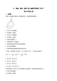 数学七年级上册（2024）直线、射线、线段习题