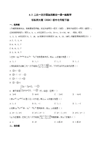数学七年级下册（2024）二元一次方程组的解法当堂检测题