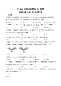华东师大版（2024）七年级下册（2024）三元一次方程组及其解法综合训练题