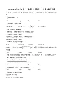 2025-2026学年北京市十一学校分校七年级（上）期末数学试卷-自定义类型