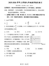 福建漳州市龙文区2025-2026学年九年级上学期期末适应性检测数学试卷