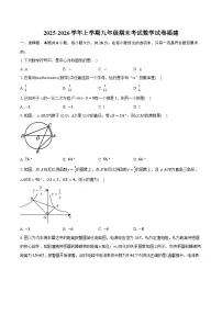 2025-2026学年上学期九年级期末考试数学试卷福建（含答案+解析）