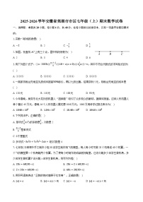 2025-2026学年安徽省芜湖市市区七年级（上）期末数学试卷（含答案+解析）