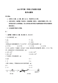 浙江金华市金东区2025-2026学年第一学期期末考试七年级数学卷含答案