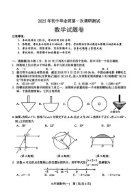 河南省南阳市2025年九年级中考一模数学试卷及答案