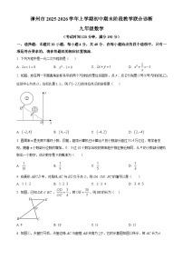 福建漳州市2025-2026学年九年级上学期期末阶段教学联合诊断数学试题（试卷+解析）