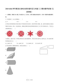 2025-2026学年黑龙江省哈尔滨市道外区九年级（上）期末数学试卷（五四学制）（含答案）