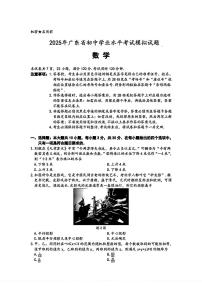 2025年广东省佛山市部分学校九年级中考一模数学试题