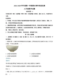 广东省深圳市南山区上学期九年级期末数学试题（解析版）-A4