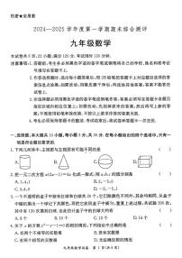 广东省河源市紫金县2024-2025学年上学期期末考试九年级数学试题