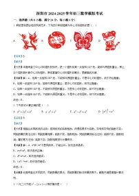 广东省深圳市罗湖中学九年级数学中考模拟试题（解析版）-A4
