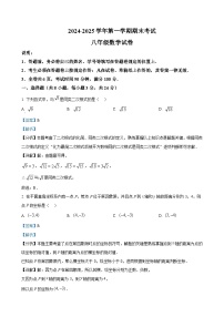 广东省深圳市罗湖区深圳中学八年级上学期期末考试数学试题（解析版）-A4