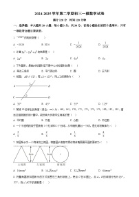 广东省珠海市第九中学2024-2025 学年下学期九年级中考一模数学试卷（原卷版）-A4