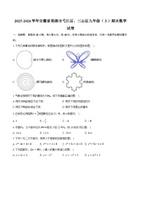 2025-2026学年安徽省芜湖市弋江区、三山区九年级（上）期末数学试卷（含答案+解析）