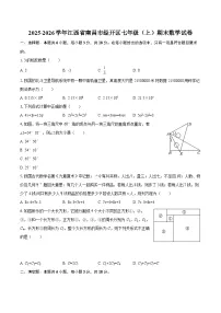 2025-2026学年江西省南昌市经开区七年级（上）期末数学试卷-自定义类型