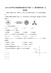 2025-2026学年山东省淄博市桓台县八年级（上）期末数学试卷（五四学制）-自定义类型