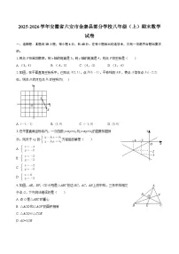 2025-2026学年安徽省六安市金寨县部分学校八年级（上）期末数学试卷-自定义类型