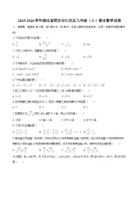 2025-2026学年湖北省武汉市江汉区八年级（上）期末数学试卷-自定义类型