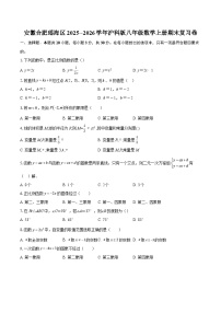 安徽合肥瑶海区2025--2026学年沪科版八年级数学上册期末复习卷-自定义类型