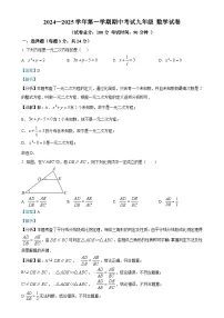 广东实验中学深圳学校上学期九年级期中考试数学试题（解析版）-A4