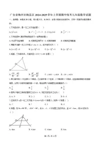 广东省梅州市梅县区2024-2025学年上学期期中统考九年级数学试题（含答案）