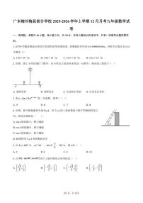 广东梅州梅县部分学校2025-2026学年上学期12月月考九年级数学试卷（含答案）