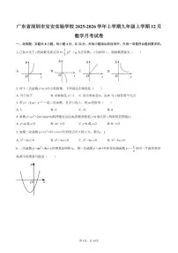 广东省深圳市宝安实验学校2025-2026学年上学期九年级上学期12月数学月考试卷（含答案）