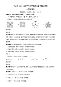 广东省中山市上学期期末水平测试九年级数学 （解析版）-A4