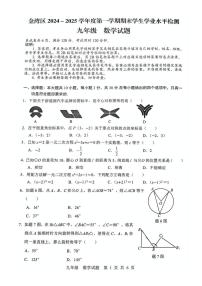 广东省珠海市金湾区2024—2025学年九年级上学期期末考试数学试题