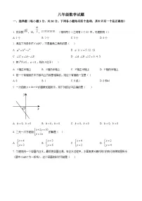 河南省焦作市2025-2026学年上学期八年级数学期末学情调研试卷（试卷+解析）