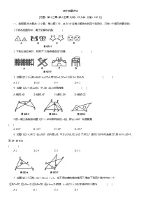 期中质量评估 练习 2025-2026学年人教版八年级数学上册（含答案）