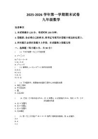 河南省许昌市鄢陵县张桥三中2025-2026学年九年级上册数学期末试卷（含答案 ）
