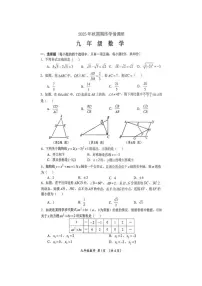 河南南阳市桐柏县2025-2026学年九年级上学期2月期末数学试题含答案