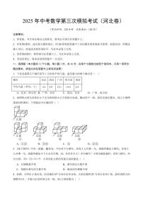 2025年中考数学第三次模拟考试数学(河北卷)