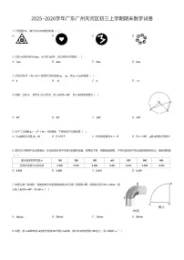 2025~2026学年广东广州天河区初三上学期期末数学试卷（有答案解析）