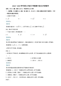 广东省阳江市江城星鹏中英文学校七年级下学期期中考试数学试题（解析版）-A4