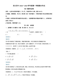 广东省深圳市深圳大学附属中学2024—2025学年八年级上学期期末考试数学试卷（解析版）-A4