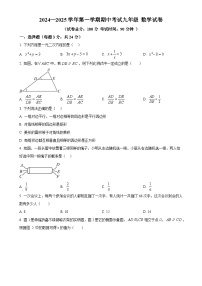 广东实验中学深圳学校上学期九年级期中考试数学试题（原卷版）-A4