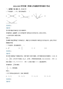 广东省珠海部分学校七年级下学期期中考试数学试题（解析版）-A4