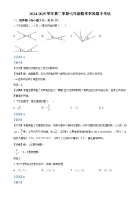 广东省珠海部分学校七年级下学期期中考试数学试题（解析版）-A4