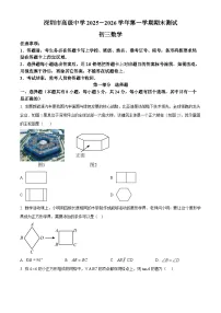 精品解析：广东省深圳市高级中学初中部2025-2026学年上学期期末九年级数学试卷（原卷版）