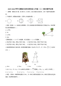2025-2026学年安徽省合肥市肥东县九年级（上）期末数学试卷（含答案）