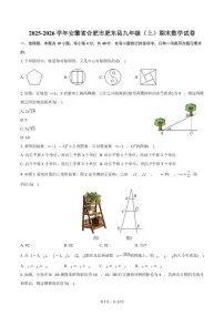 2025-2026学年安徽省合肥市肥东县九年级（上）期末数学试卷（含答案）