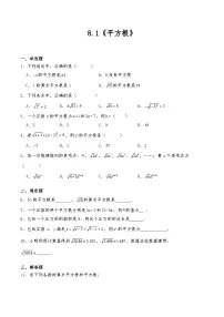数学七年级下册（2024）平方根一课一练