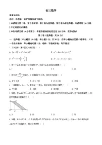 山东省威海乳山市（五四制）2025-2026学年八年级上学期期末数学试题（试卷+解析）