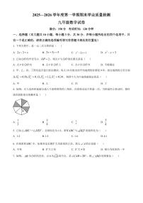 江苏省无锡市新吴区2025-2026学年九年级上学期期末学业水平数学试题（试卷+解析）