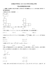 2025-2026学年安徽宿州市萧县九年级上学期期末质量检测数学试卷（学生版）